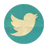 twitter page